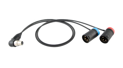 24-inch low-profile audio cable: TA5F plug to dual 3-pin XLR male connectors
