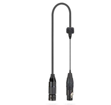 Audio cable with strain-relief junction box and dual ends