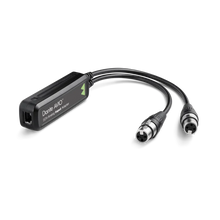Audinate Dante AVIO analogue input adapter, black housing with cable and XLR-style connectors