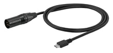 BETSO SBCC-XLR 4-Pin XLR to USB-C Power Cable