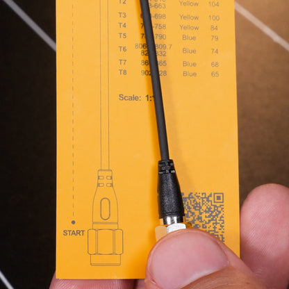 THEOS Digital Wireless 2ch Kit