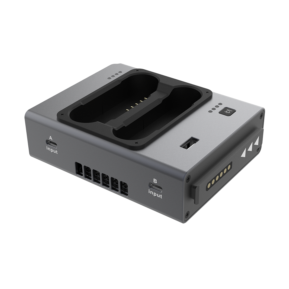 DQC2 Dual Smart Battery Charger