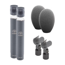 Schoeps MK 41 stereo microphones with CMC 6, foam windscreens, and mounts