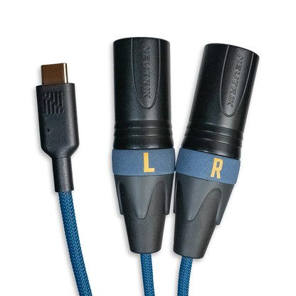 Two black audio connectors labeled L and R with blue braided leads and gold plug