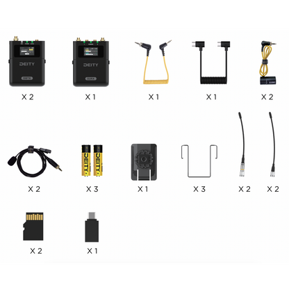 THEOS Digital Wireless 2ch Kit