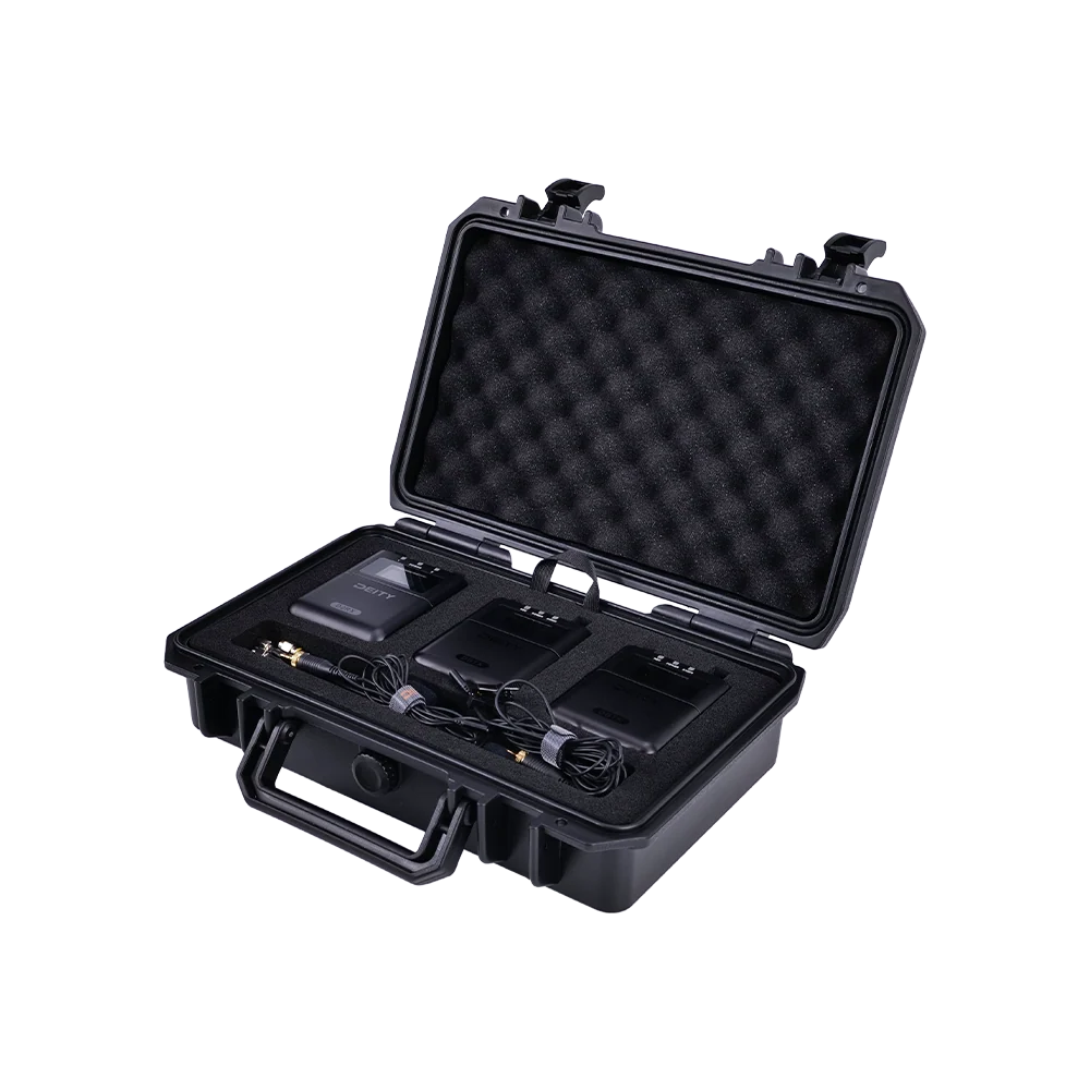 THEOS Digital Wireless 2ch Kit
