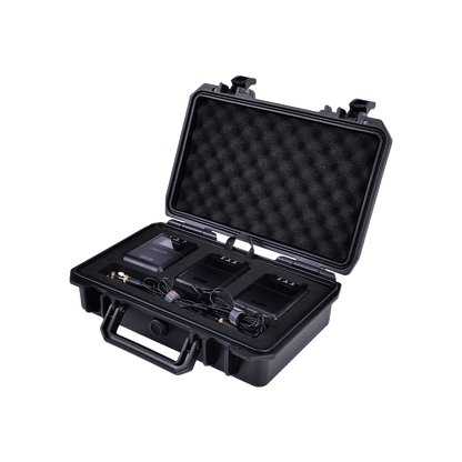 THEOS Digital Wireless 2ch Kit