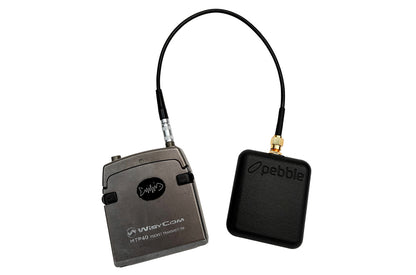 Black Pebble cable with left electronics module and right Pebble box; gold connectors