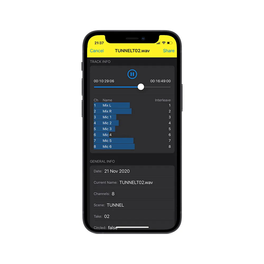 Smartphone screen showing Viviana track info and audio file details