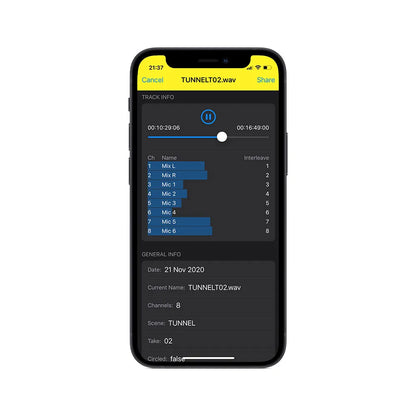 Smartphone screen showing Viviana track info and audio file details