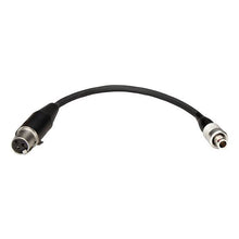 Ambient UMP output cable, TA3F to 3-pin Lemo connectors on black cable