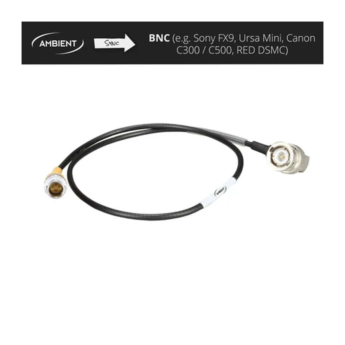Lemo to BNC genlock cable with black coax and silver connectors, one BNC end