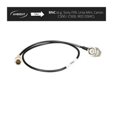 Ambient Lemo to BNC Genlock Cable