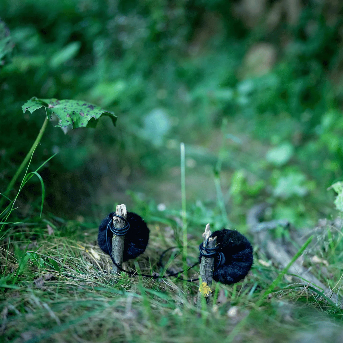 Two black furry microphone windscreen covers standing upright in grass