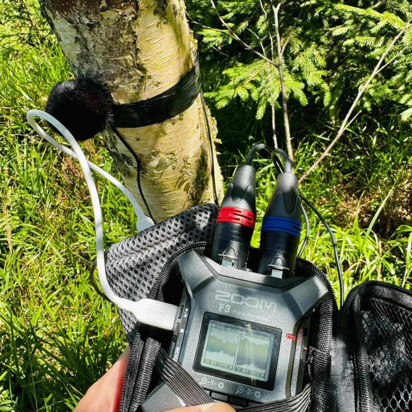 Black furry microphone windscreen covers on a handheld audio recorder outdoors