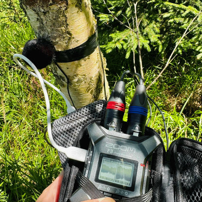 Black furry microphone windscreen covers on a handheld audio recorder outdoors
