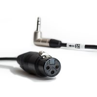 XLR3F to Tentacle cable